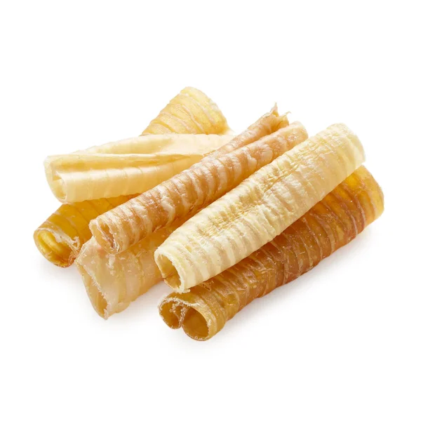 image 4 6 Inch Beef Trachea